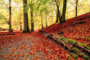 Herbst - Süße Träume von Cho Tang