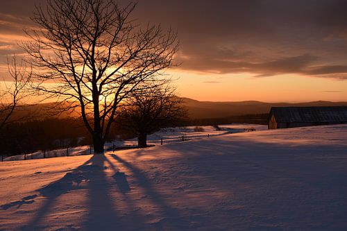 Ein Sonnenaufgang an einem kalten Morgen