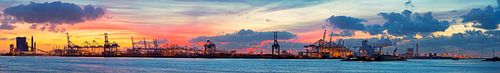 Port of Rotterdam panorama, Maasvlakte