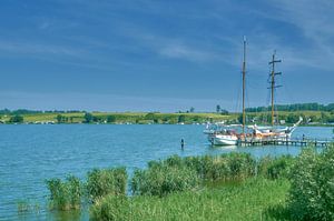 in Neppermin am Nepperminer See,Teil des Achterwasser,Naturpark Insel Usedom