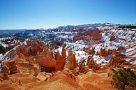 Sneeuw in Bryce Canyon National Park van Discover Dutch Nature thumbnail