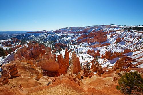 Sneeuw in Bryce Canyon National Park