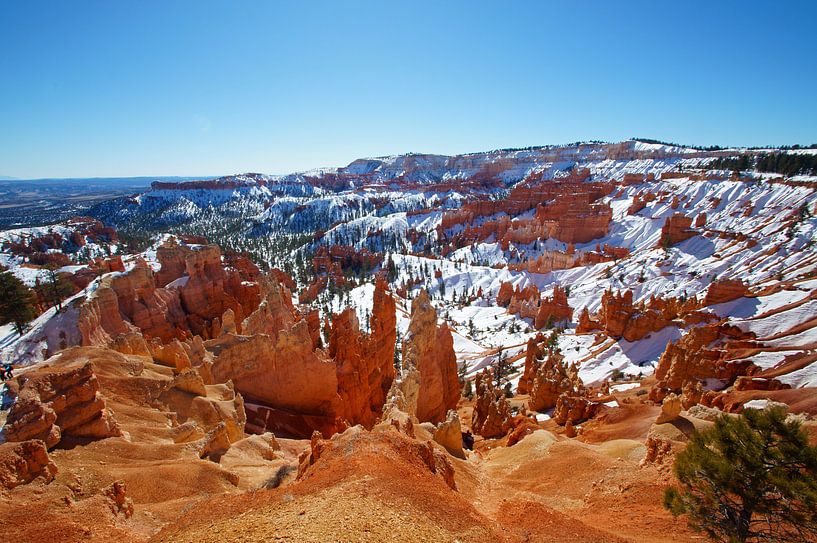 Sneeuw in Bryce Canyon National Park van Discover Dutch Nature