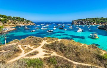 Idyllic bay of Portals Vells with many luxury yachts, Mallorca island, Spain Mediterranean Sea by Alex Winter