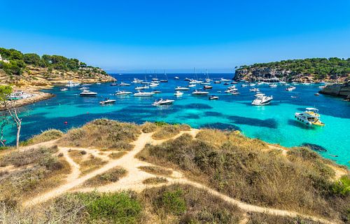 Idyllic bay of Portals Vells with many luxury yachts, Mallorca island, Spain Mediterranean Sea