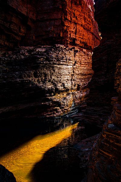 L'or liquide par Robin Schalk