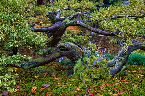 Kenrokuen Tuin; Kanazawa; Japan