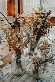 Dried Wildflower Bouquets in Jars — Greenhouse Still Life