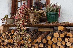 Holzstapel mit Fenster