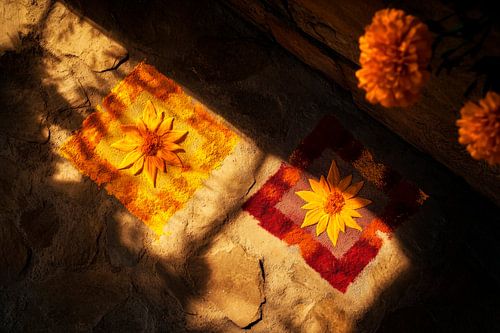 Flowering patterns