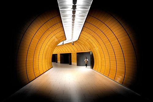 De Metro Passagier (The Subway Passenger)