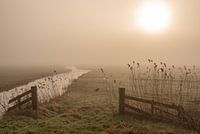 Mistige weilanden rondom Joure