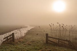 Foggy meadows around Joure by Berend Negenman