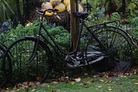 Oude fiets