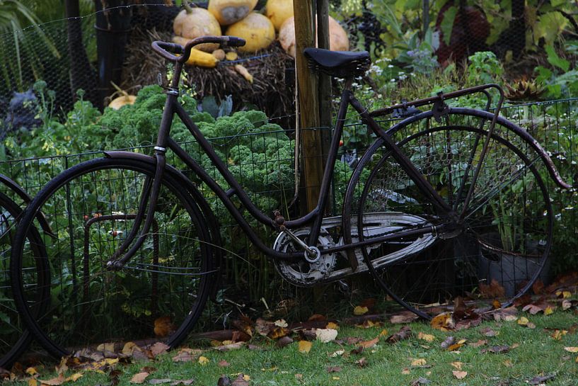 Oude fiets par Vercruysse Paulien