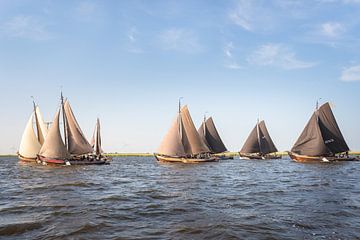 Botters on the Eemmeer