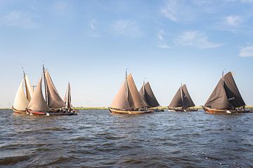 Botters op het Eemmeer van Margreet Riedstra