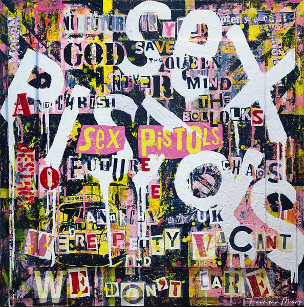 Punk van Frank van Meurs