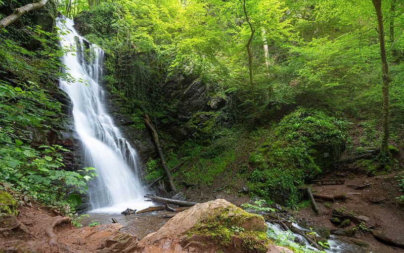 Klidinger waterval, Eifel, Rijnland-Palts, Duitsland van Alexander Ludwig