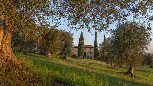Podere Toscaberna in Seggiano Tuscany