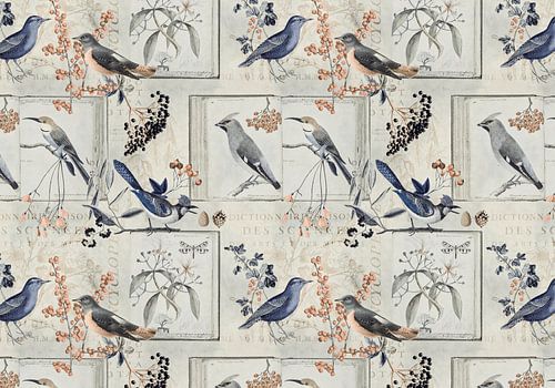 De geschiedenis van vogels