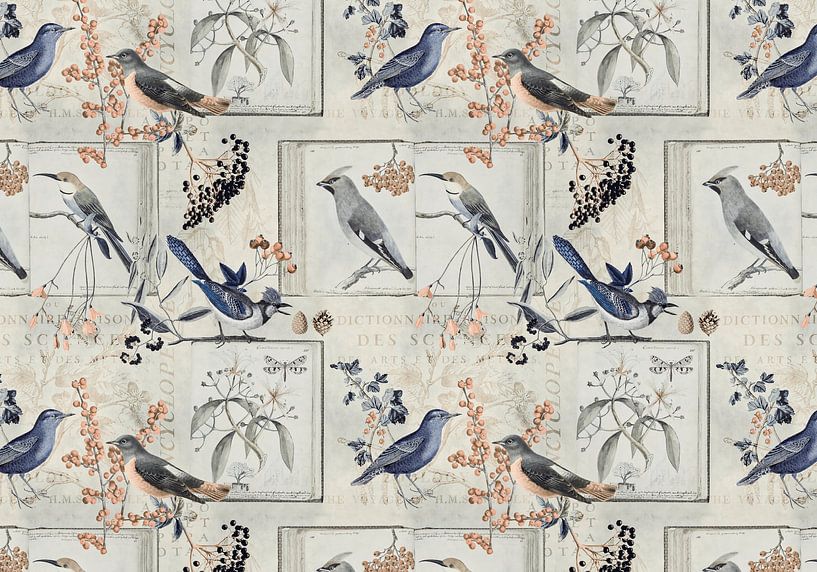 Die Historie der Vögel von Andrea Haase