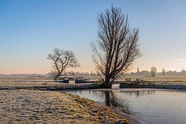 Karakteristiek polderlandschap in de winter, Alblasserwaard van Ruud Morijn