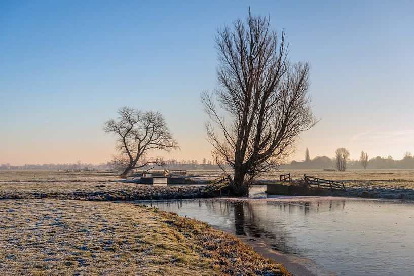 Charakteristische Polderlandschaft im Winter, Alblasserwaard von Ruud Morijn