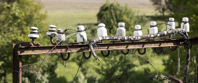 Alte Isolatoren einer alten Telefonleitung - Lost Place Alter Flugplatz Rangsdorf von Frank Herrmann