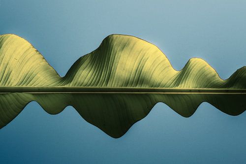 Une île dans le ciel