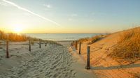 Strand, Meer und Sonne an der niederländischen Küste von Dirk van Egmond Miniaturansicht