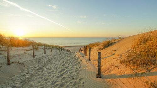 Strand, zee en zon aan de Nederlandse kust