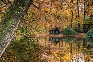 Promenade en automne dans le parc du Palais Het Loo