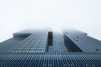 High Rise Fog