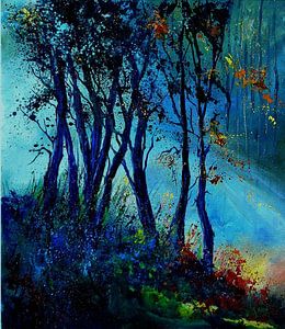 Ochtend mist van pol ledent