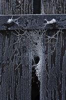 Frozen web in the crack of a wooden door
