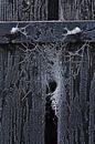Bevroren web in de kier van een houten deur van Juriaan Wossink thumbnail