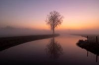 River in Rhenoy in rising sun and fog