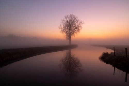River in Rhenoy in rising sun and fog by Michelle Peeters