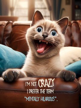 FUNNY CAT Craziness by Melanie Viola