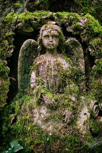 Angel