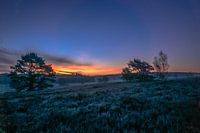 Wesel heide