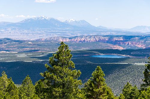 Vues sur les arbres et les montagnes d'Amérique