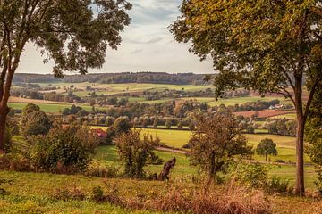 Panorama Camerig in Zuid-Limburg van John Kreukniet