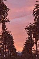 Hollywood