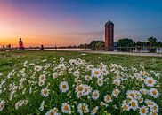 Sonnenuntergang in Aalsmeer von Remco Piet Miniaturansicht