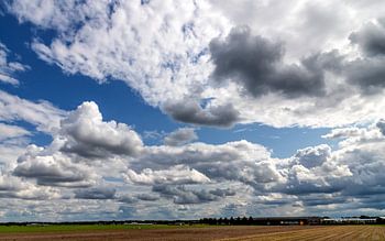 Hollandse luchten...