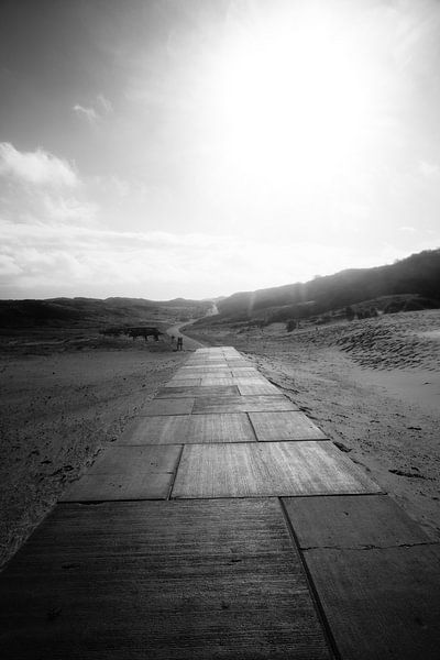 La route. par ToeK !