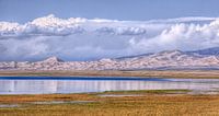Qinghai lake with mountains, blue sky and impressive clouds by Tony Vingerhoets thumbnail