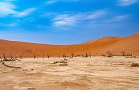 Deadvlei in the Namib Desert, Sossusvlei, Namibia by Patrick Groß thumbnail